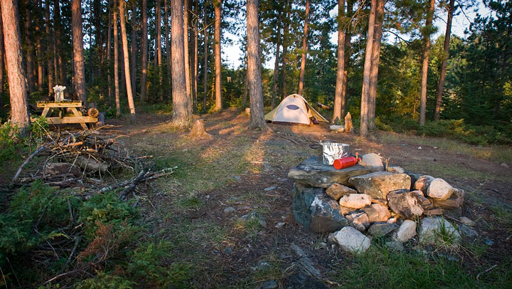 Campsite in morning light