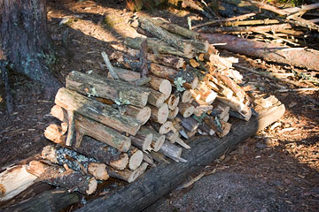 Cut firewood