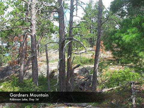 Video:Gardners Mountain