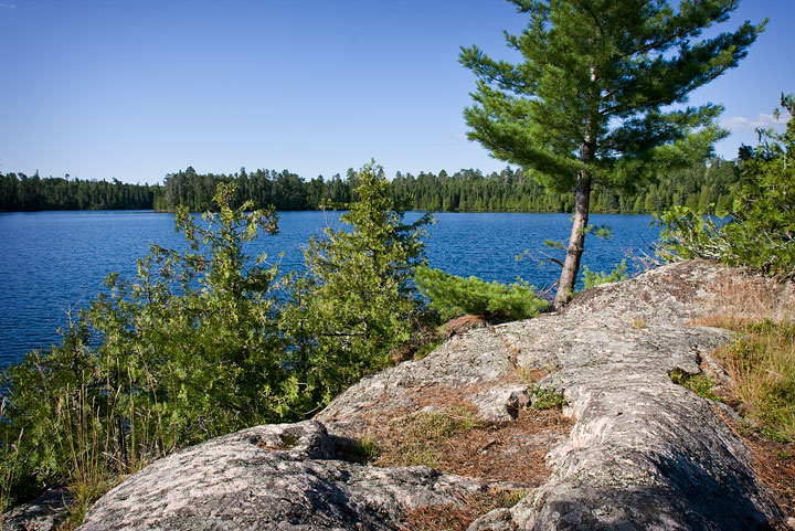 Louisa Lake campsite