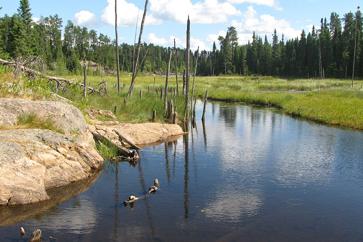 Creek at Star Lake