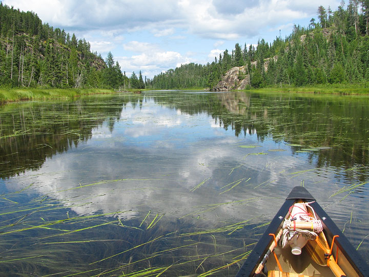 Beautiful McEwen Creek