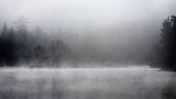 Morning mist