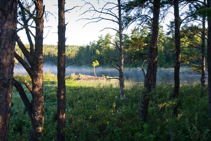 Campsite's west bay