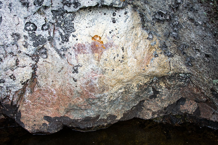 Moose pictograph