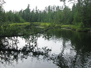 Waterway at Louisa Falls