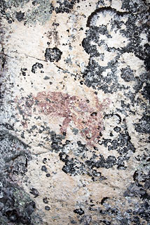 Hare pictograph