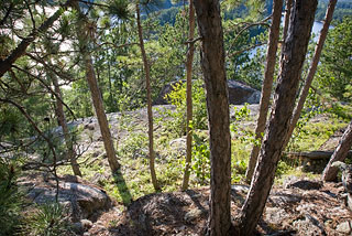 Gardners Mountain slope
