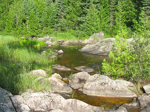 Creek between Turn and Glacier