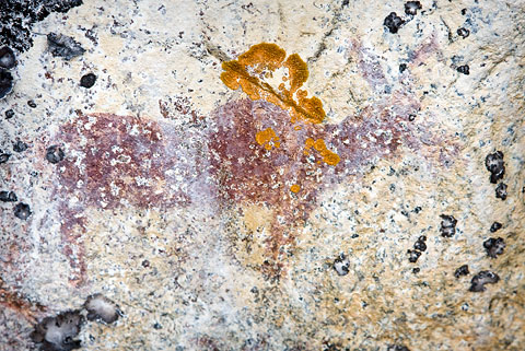 Moose pictograph