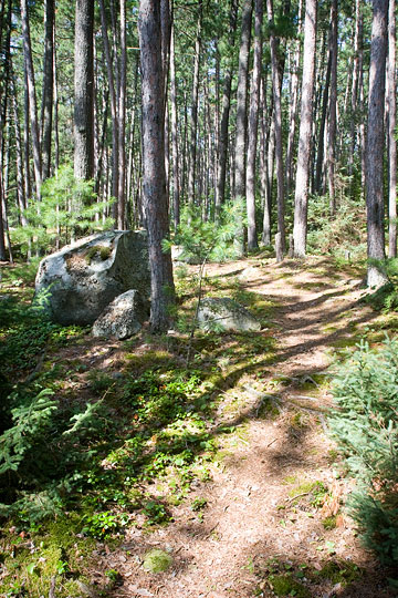 Hiking trail
