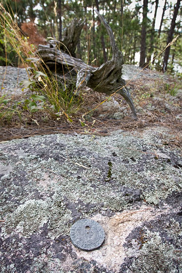 Survey marker wide